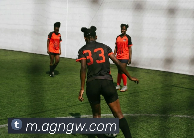 App Interface Preview