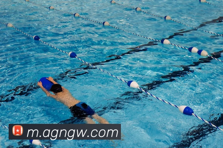 ag官网APP 封面图